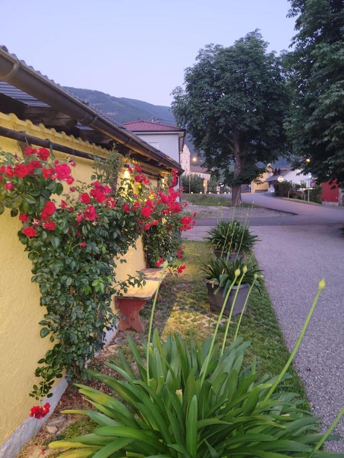 Pension & Ferienwohnung Dullnig Gmünd Exteriör bild